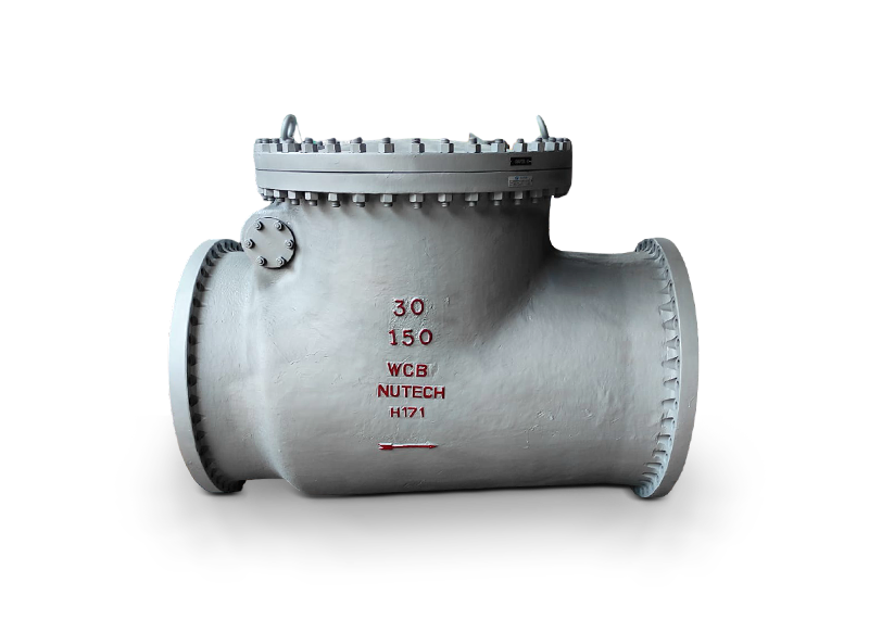 Swing Check Valve