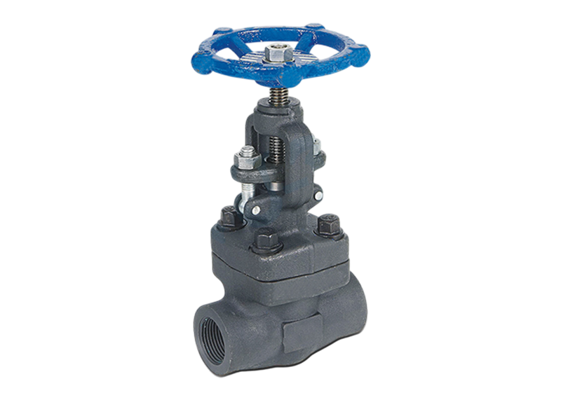 Forged Globe Valve